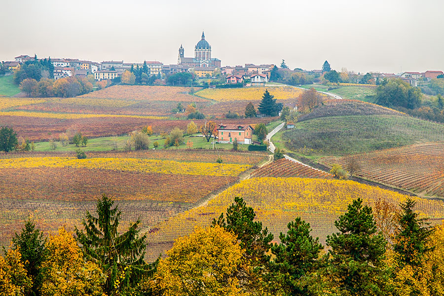 agenzia-coldwell-banker-alba-territorio-2